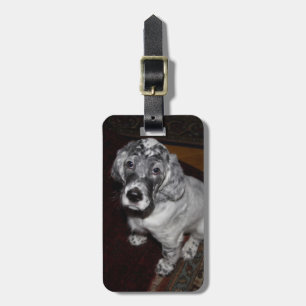 English Setter Puppy Gepäckanhänger