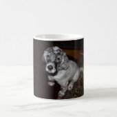 English Setter Puppy Kaffeetasse (Mittel)