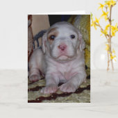 English Setter Puppy Karte (Gelbe Blume)