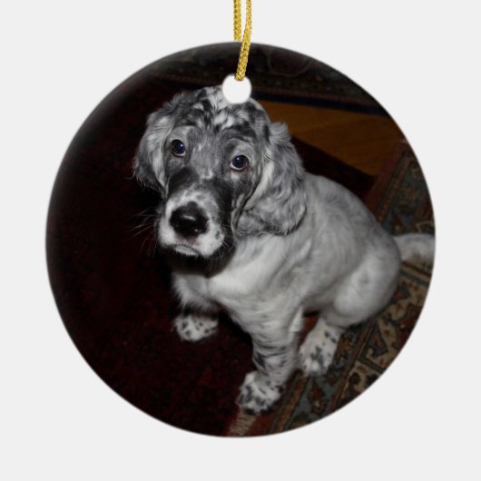 English Setter Puppy Keramik Ornament (Vorne)