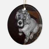 English Setter Puppy Keramik Ornament (Links)