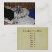 English Setter Puppy Visitenkarte (Vorne/Hinten)
