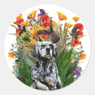 English Setter Runder Aufkleber