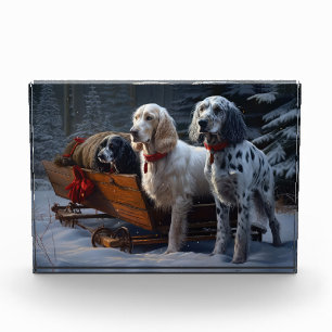 English Setter Schneeweißer Schlitten Weihnachtsde Fotoblock