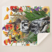 English Setter Sherpadecke (Vorderseite (Horizontal))