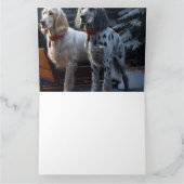 English Setter Snowy Sleigh Weihnachtsdekor Karte (Innenseite)