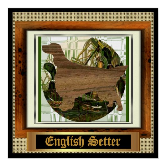 English Setter Sporting Poster (Vorderseite)