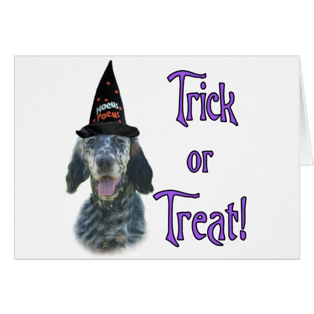 English Setter Trick (Vorderseite (Horizontal))