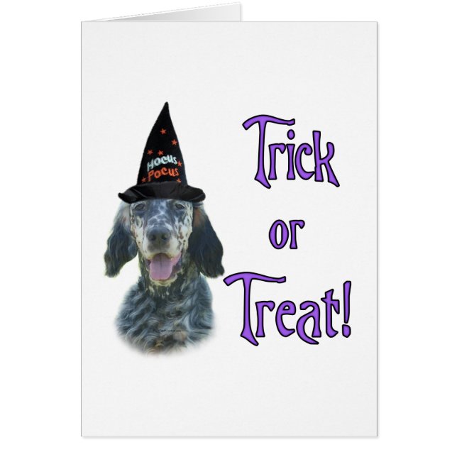 English Setter Trick (Vorne)