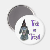 English Setter Trick Magnet (Vorderseite/Rückseite)
