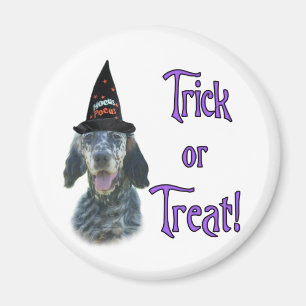 English Setter Trick Magnet