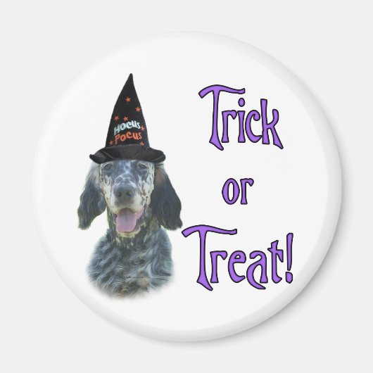 English Setter Trick Magnet (Vorne)