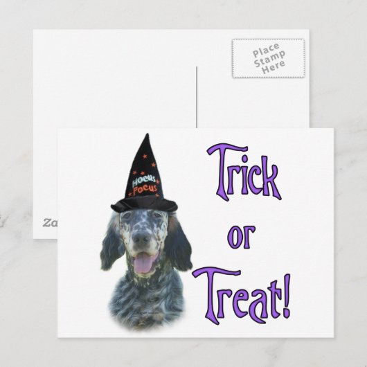 English Setter Trick Postkarte (Vorne/Hinten)