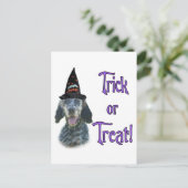 English Setter Trick Postkarte (Stehend Vorderseite)