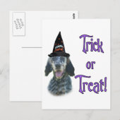 English Setter Trick Postkarte (Vorne/Hinten)