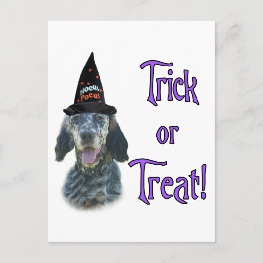 English Setter Trick Postkarte (Vorderseite)