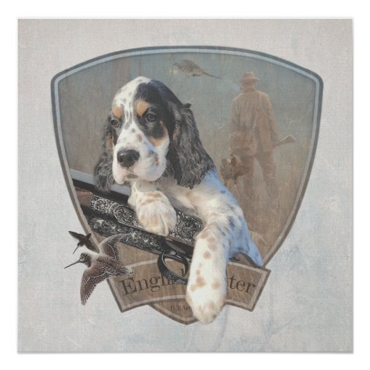 English Setter Welpe mit klassischem Showgun Poster (Vorderseite)