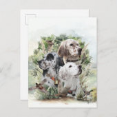 English Setters Einladungspostkarte (Vorne/Hinten)