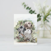 English Setters Postkarte (Stehend Vorderseite)