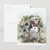 English Setters Postkarte (Vorne/Hinten)