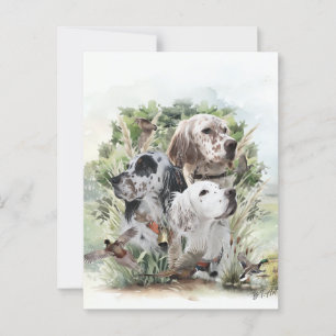 English Setters Postkarte