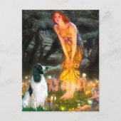 English Springer 7 - MidEve Postkarte (Vorderseite)