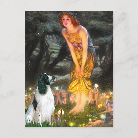 English Springer 7 - MidEve Postkarte (Vorderseite)