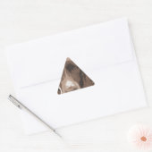 English Springer Dreieckiger Aufkleber (Umschlag)