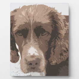 English Springer Fotoplatte