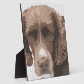 English Springer Fotoplatte (Seite)