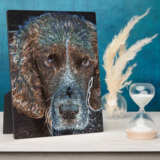 English Springer Fotoplatte (Seite)