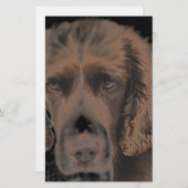 English Springer Hunde Briefpapier (Vorne/Hinten)