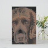 English Springer Hunde Briefpapier (Stehend Vorderseite)