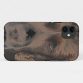 English Springer Hunde Case-Mate iPhone Hülle (Rückseite (Horizontal))