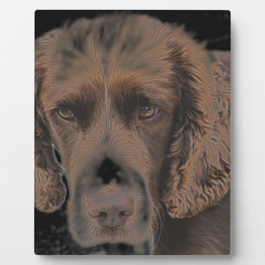 English Springer Hunde Fotoplatte (Vorderseite)