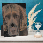 English Springer Hunde Fotoplatte (Seite)