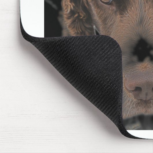 English Springer Hunde Mousepad (Ecke)