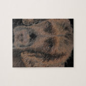 English Springer Hunde Puzzle (Horizontal)