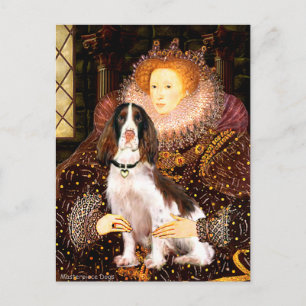 English Springer (Liv) - Königin Postkarte