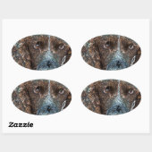 English Springer Ovaler Aufkleber (Blatt)