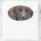 English Springer Ovaler Aufkleber (Tasche)