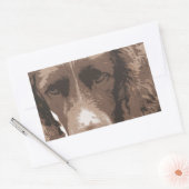 English Springer Rechteckiger Aufkleber (Umschlag)