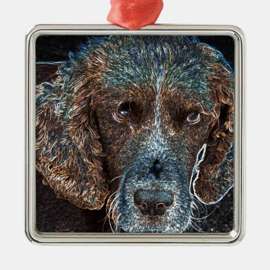 English Springer Silbernes Ornament (Vorne)