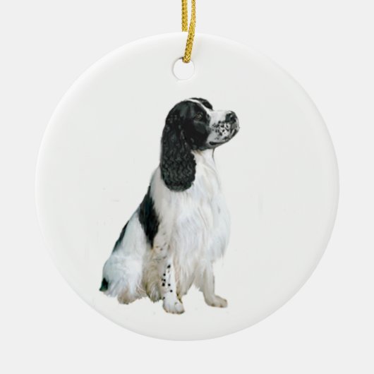 English Springer Spanel (A) - schwarz-weiß Keramikornament (Vorne)