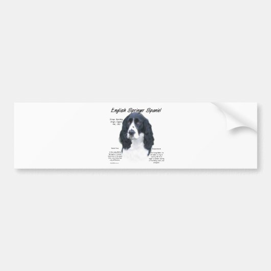 English Springer Spanel (blk) History Design Autoaufkleber (Vorne)