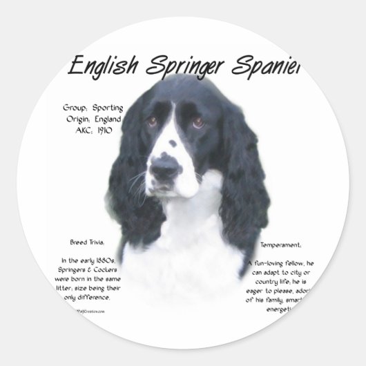 English Springer Spanel (blk) History Design Runder Aufkleber (Vorderseite)