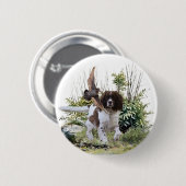 English Springer Spanel Button (Vorne & Hinten)