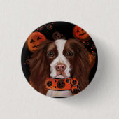 English Springer Spanel Button (Vorderseite)