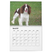 English Springer Spanel Calendar Kalender (Mär 2027)