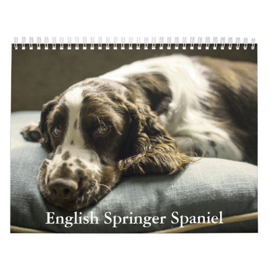 English Springer Spanel Calendar Kalender (Titelbild)